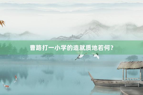 曹路打一小学的造就质地若何？