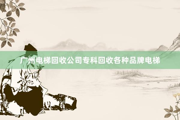 广州电梯回收公司专科回收各种品牌电梯