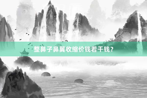 整鼻子鼻翼收缩价钱若干钱？