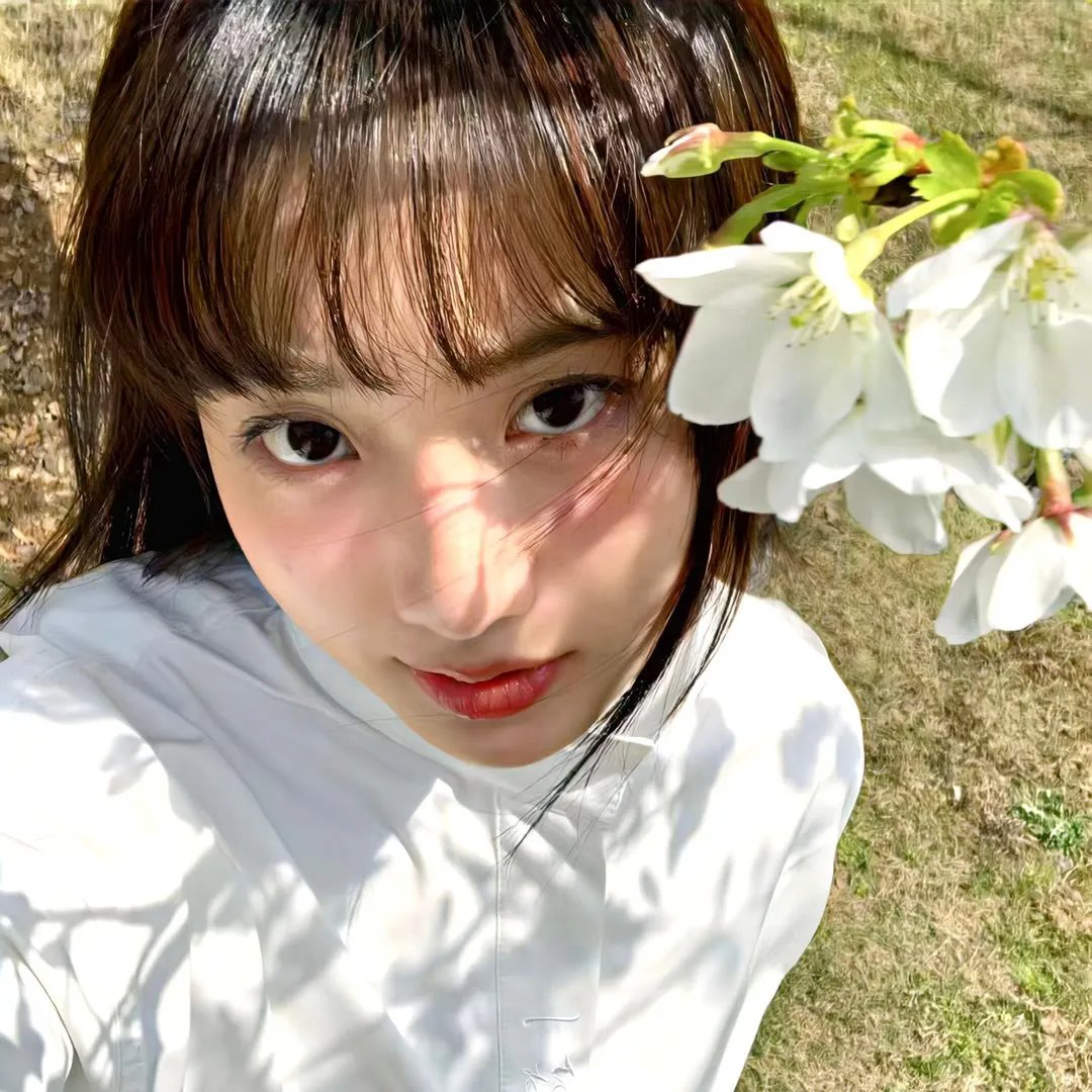 大明天子
